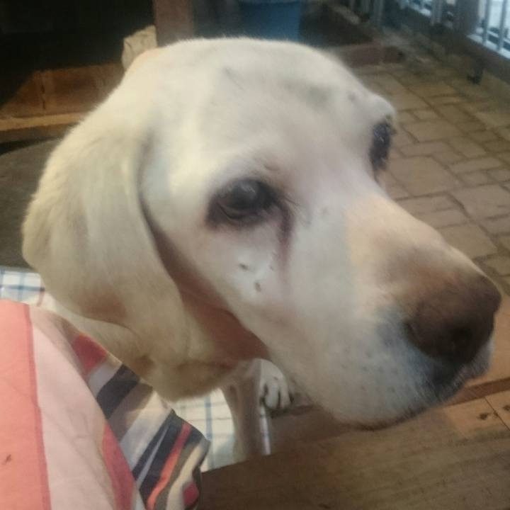 977ec174 78b9 4883 bc06 bc399e18bb09