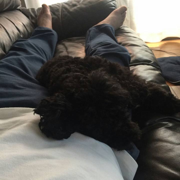 977f51fd 962f 429c 98a4 3e9c23b8f682