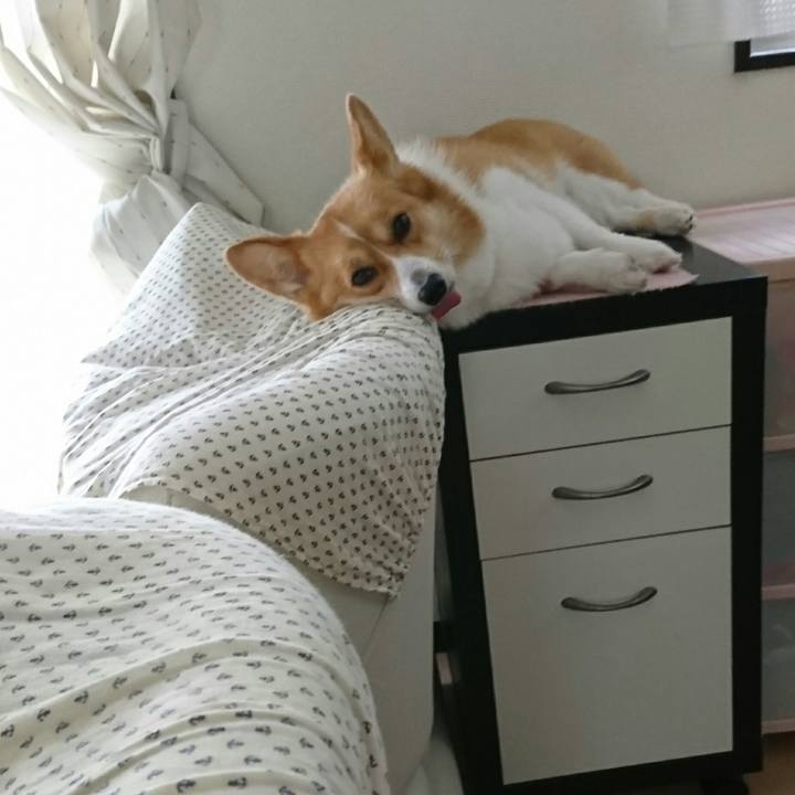 977f5661 0552 4696 9964 4d2009681489