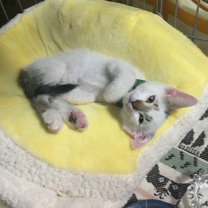 977f7ea9 214e 467d a4e0 952325d0877a