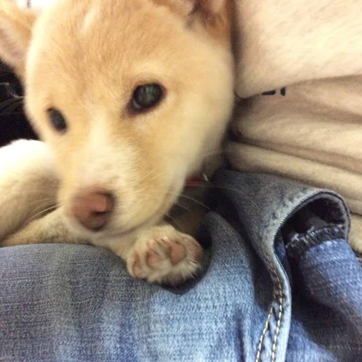 97800f45 7ab0 432a aad2 089a95b069d7