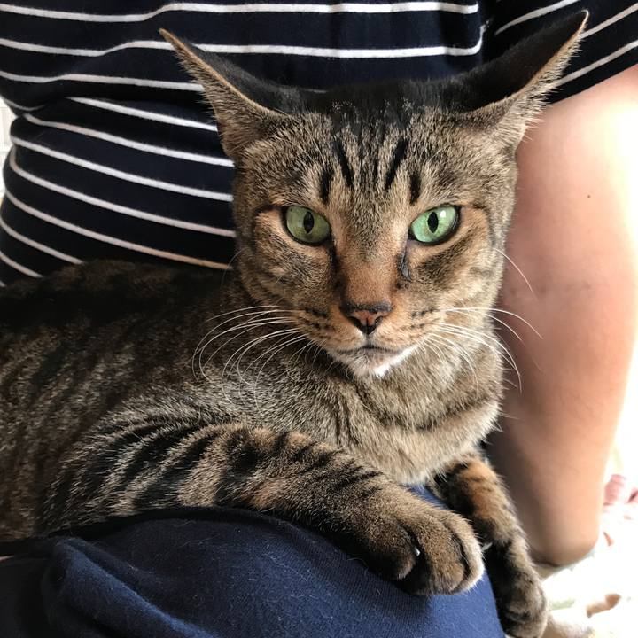 97812c2f cd9f 40b2 9048 33b2dc43d543