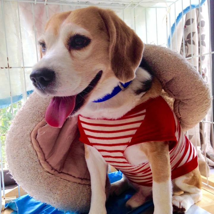 97814153 3c13 47d4 989e b352050f5d76