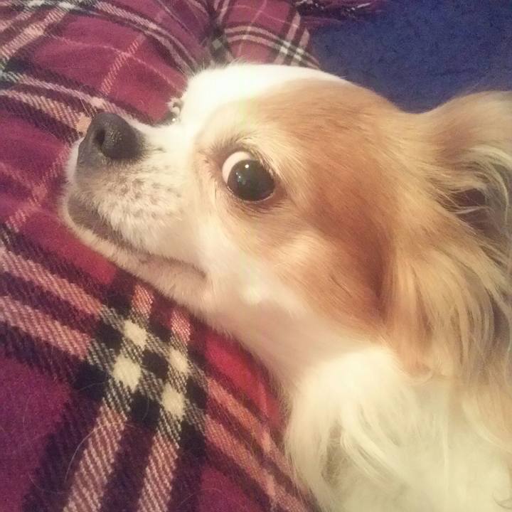 978147eb d68b 40a5 9729 4ad267d05217