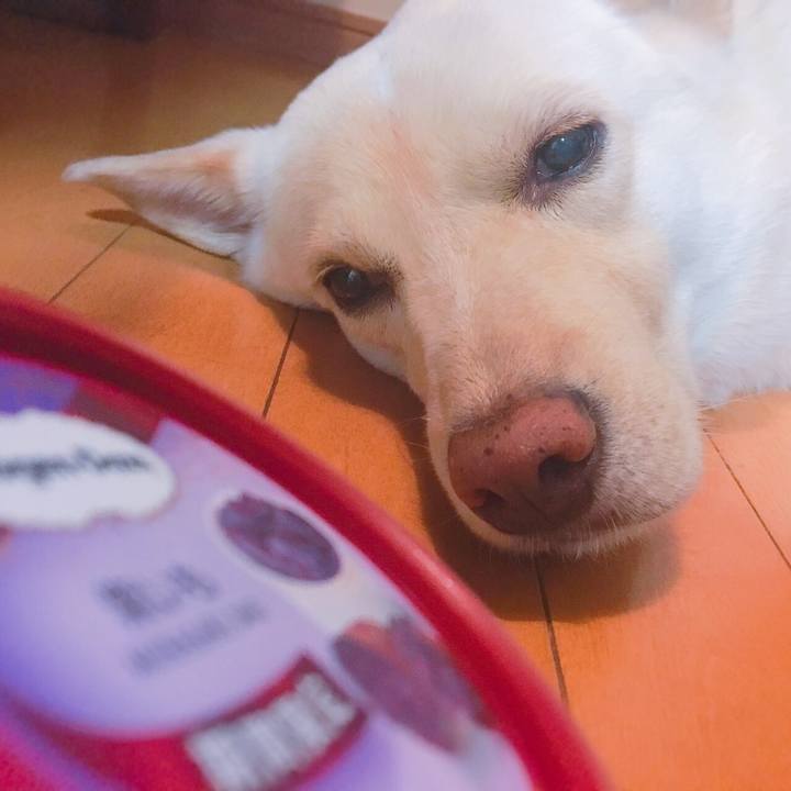 9781925d c84f 4b94 9169 59acfd5d72a9