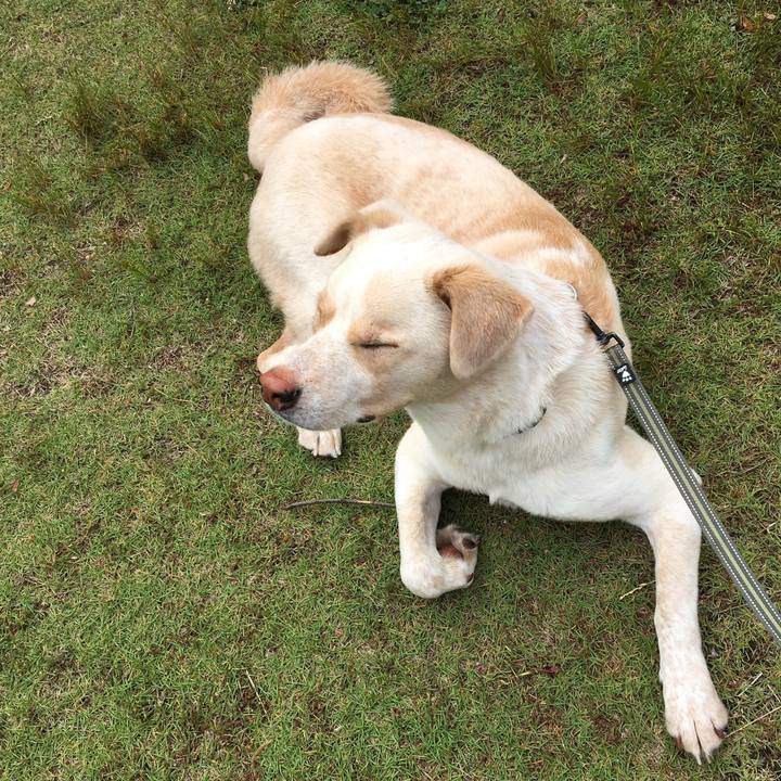 9781e3fc eee4 4128 865c 11a992edf8b1