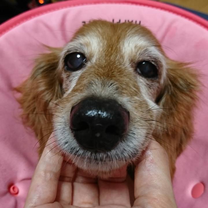 97821373 46f2 47ed 8c6e 95132bec1a62