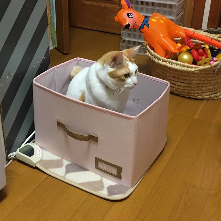 9782fddc 5e6c 43f1 ba64 2b1861a1a07b