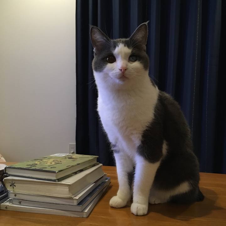 978310a2 62cb 4956 b7bc c19c8f157fa7