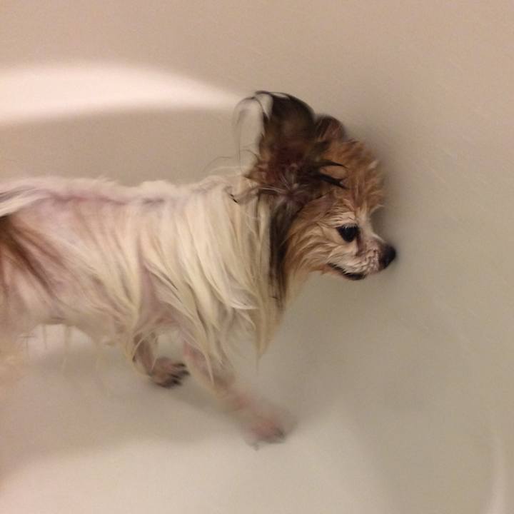 97837910 27c6 4f5b 901f 08615f43a14f