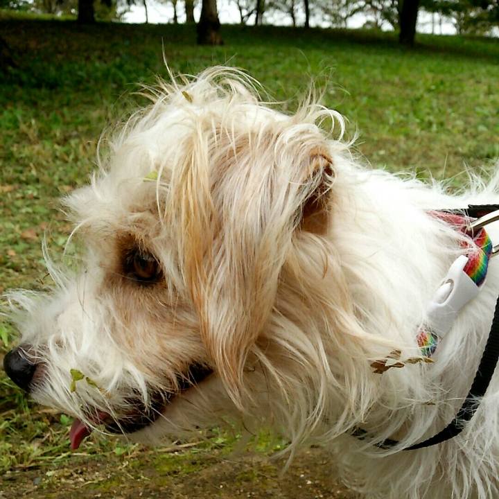 97839f13 3d95 478e a1c6 cf6f6a6dfd85