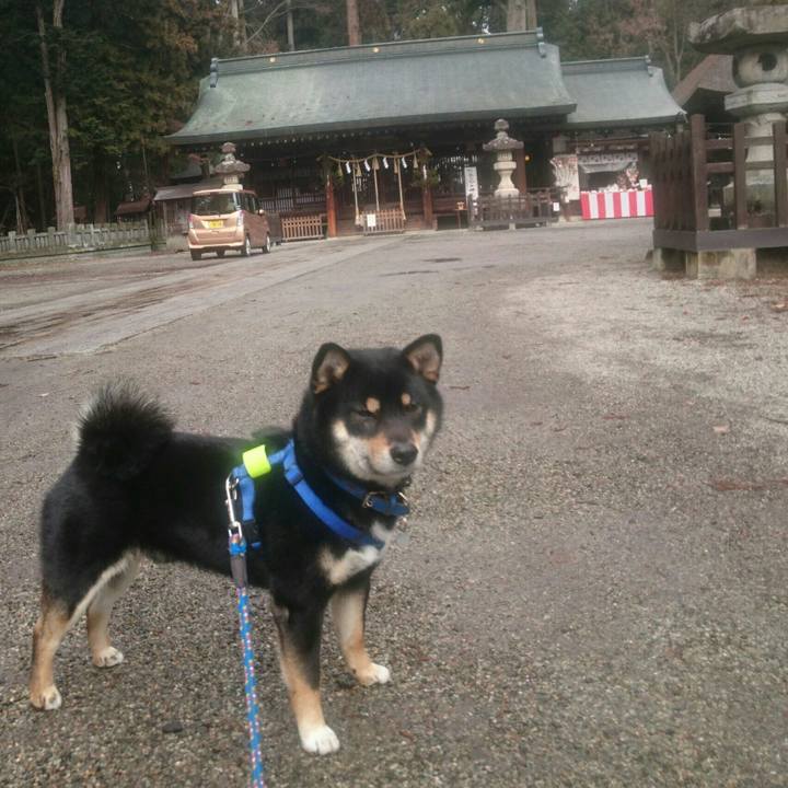 9783d9af db35 4dd5 b901 ab6da70ad9bc