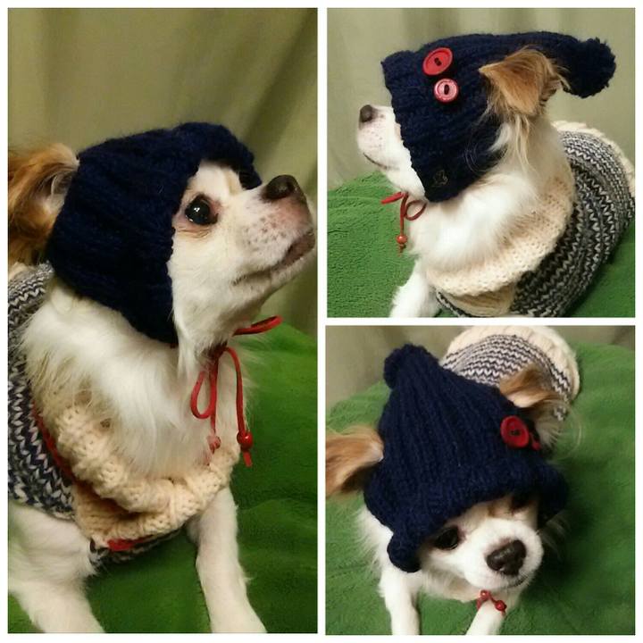 9784f734 741c 47b7 9395 687bb5e5fae5