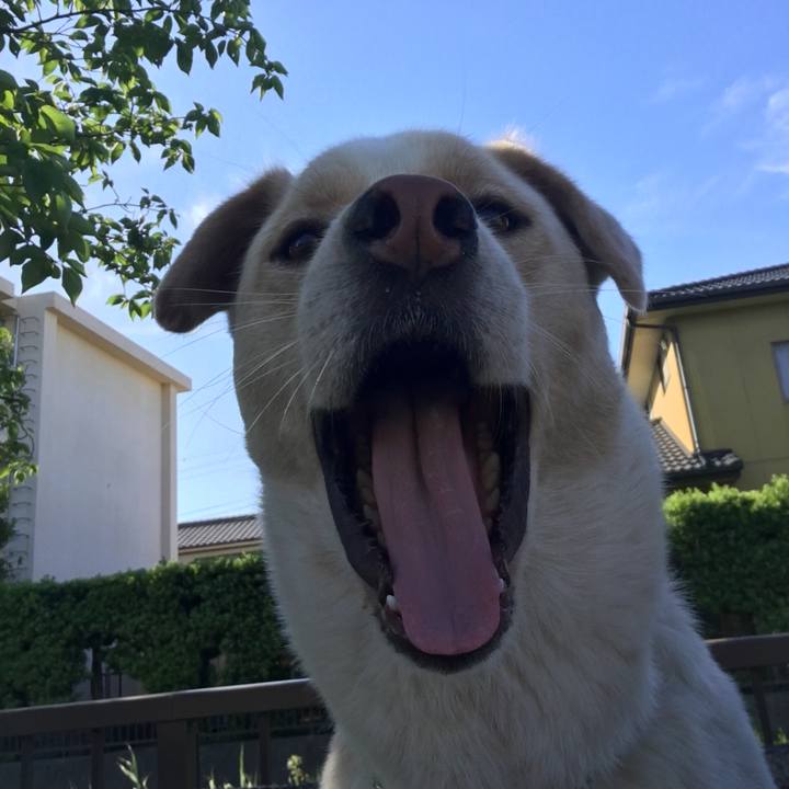 97857d39 026b 4684 96ba b45d9df8c6ea