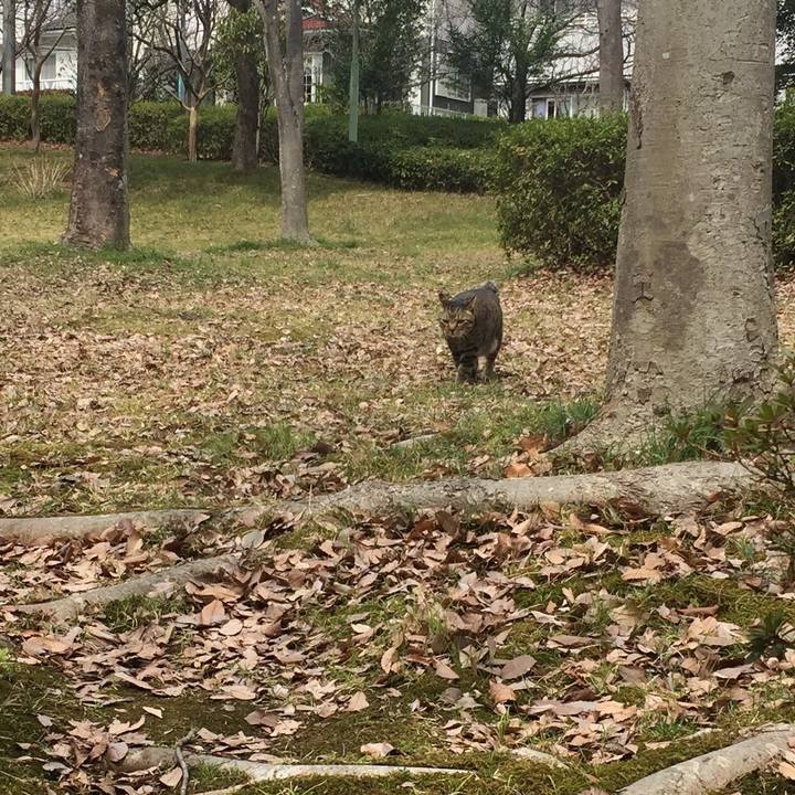 97860fc2 f571 4fce 8377 6c60e4383749