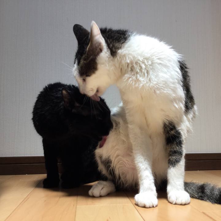 97861b1e 76be 4451 89dc f968af631ff8