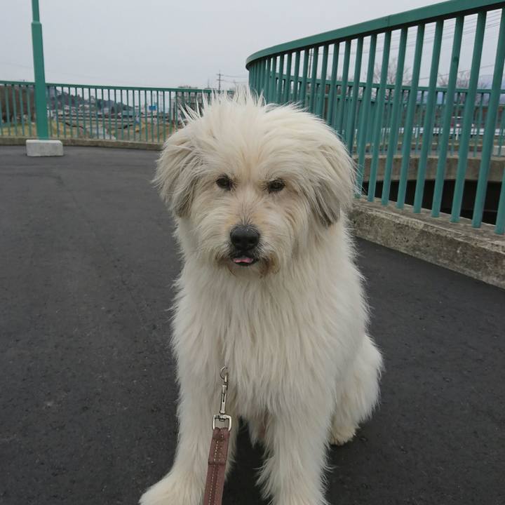 9786461c c179 455d 9e2f 93aa68c2de17