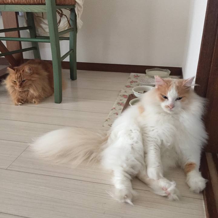 9786dda5 e34a 4afb a26c 19e2ce023346