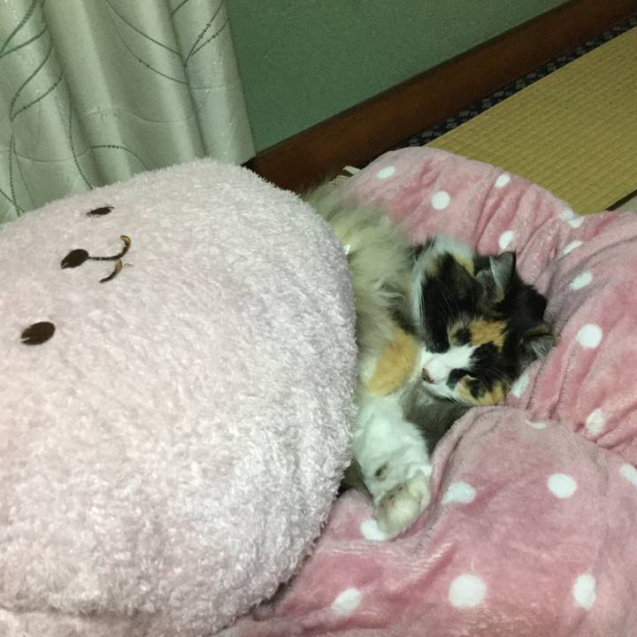 9786fa39 f857 4625 969b dbecc6cce39e