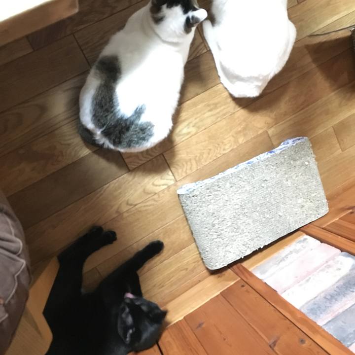 978710fd 4265 4ecd b4a3 0b1872e189d8