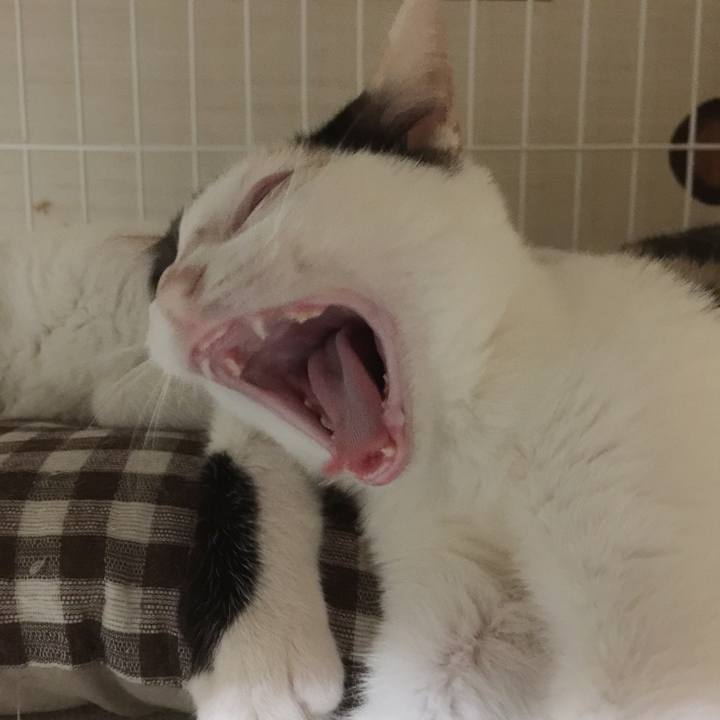 97877c85 28f6 4aa5 b2e4 5cf63f6c247c