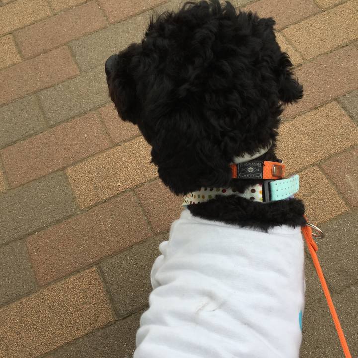 9787a6cb 98d3 4285 befa f7566faba048