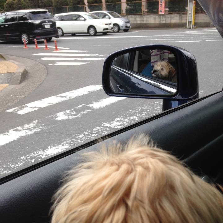 9787d0e0 5ea6 4441 abc4 a68399e862c5