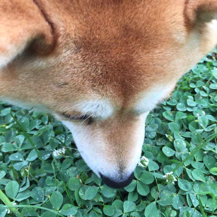 9787ef89 29e8 4d1f 9627 be08bd840943