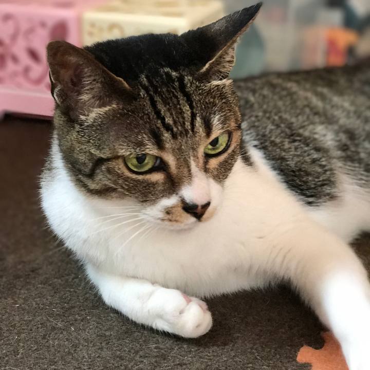 978821bb 2e6b 4c3d b6df c744f0ce8755