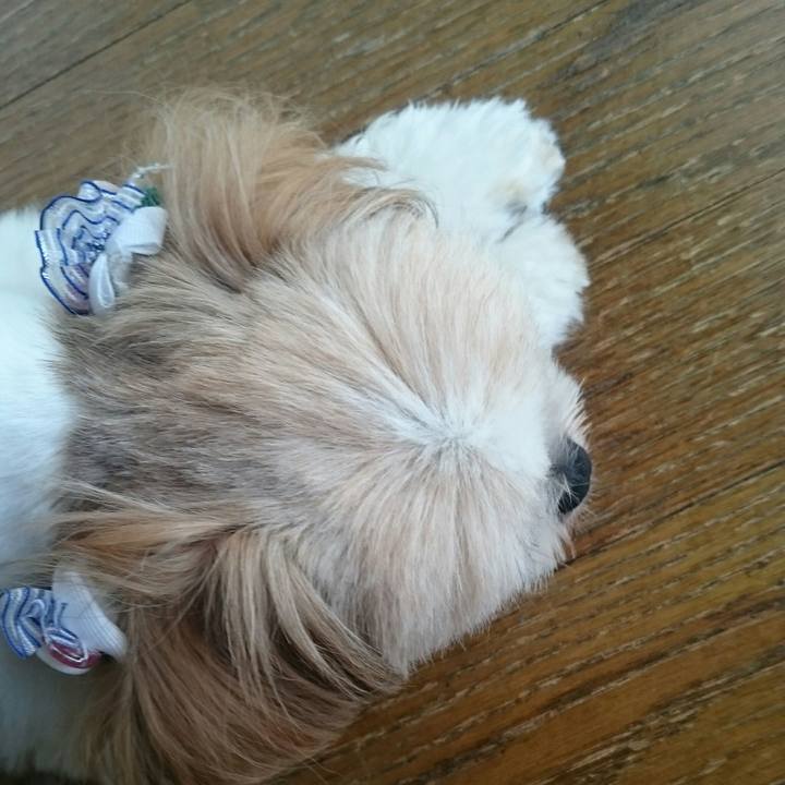 978853c1 cb94 4ef6 bbf4 2dcade825c1a