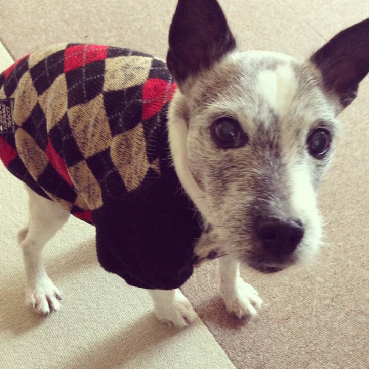 97886ce7 0a5a 4582 9220 e8efcaa55da4