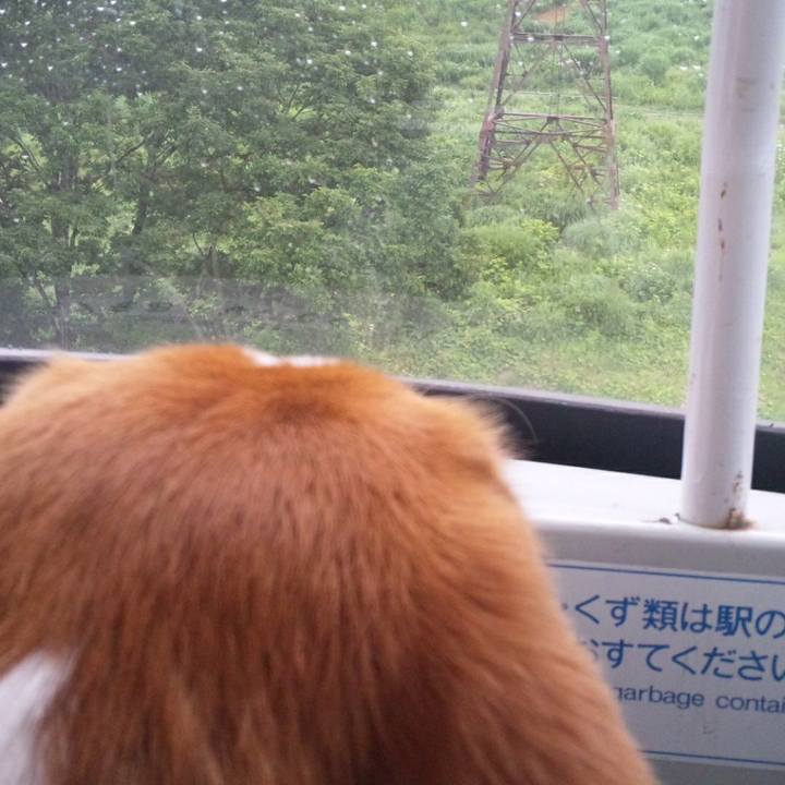 978888e4 fcd6 4eb2 a467 73c8d6685679