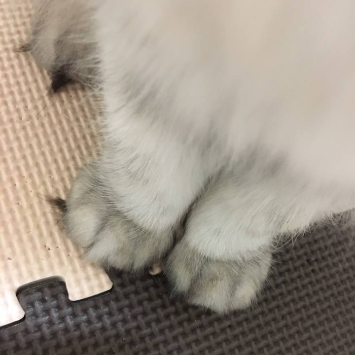 97888e1b 2385 4634 abff 2290eb4a92fe