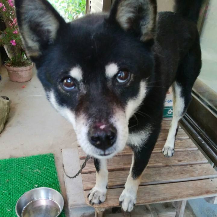 9789ff86 1a68 474f 8cfa a00ca72431e2