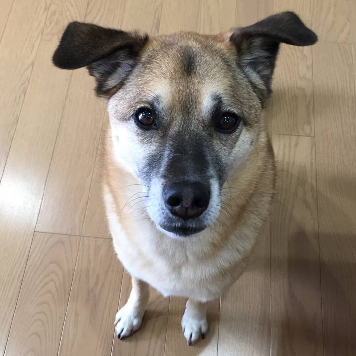 978ba9a8 c634 44e0 b857 113faa50a3bf