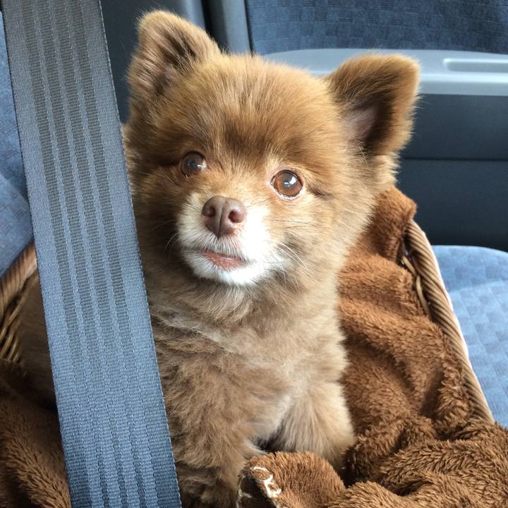 978c019c ec54 4f07 964c e839c6c2dd77