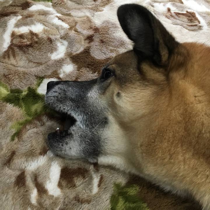 978c83c1 b6df 4b62 ab18 a04a6bdaaa9f