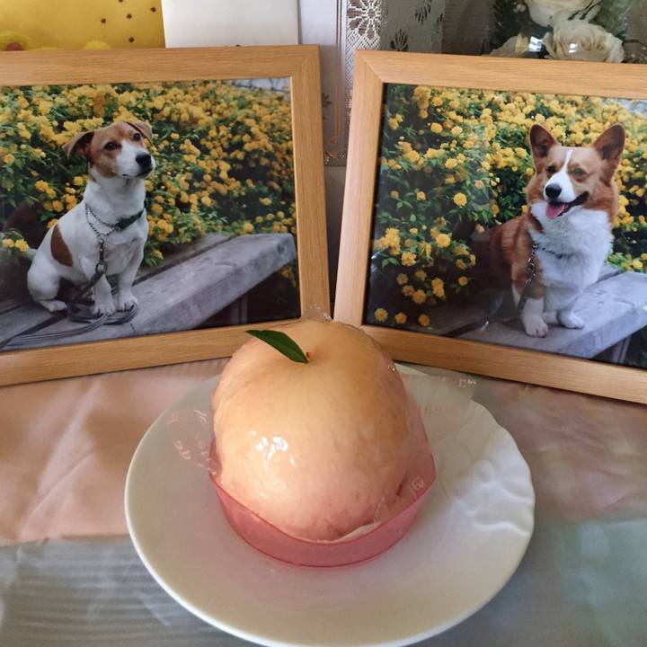 978d18e6 3389 41e1 b28f cdc9f1f45710