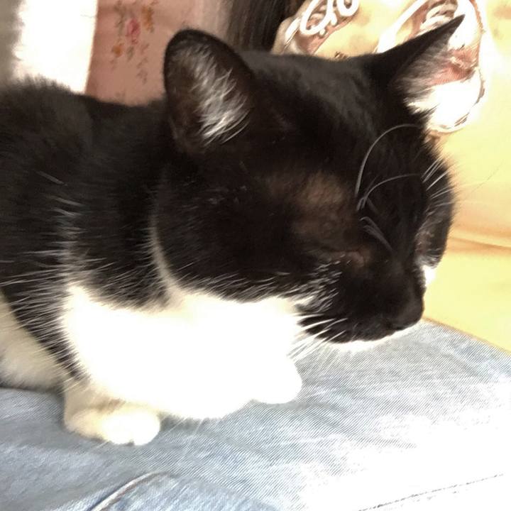 978d296b 4249 4512 963f d47ecd9b203a