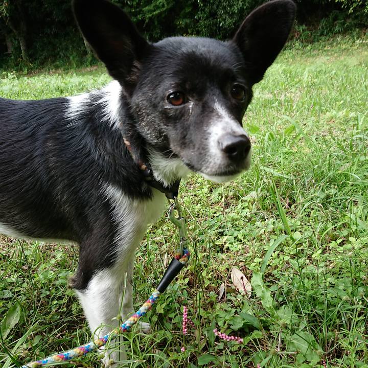 978d5184 e2aa 4230 998b 0cea3d4f9543