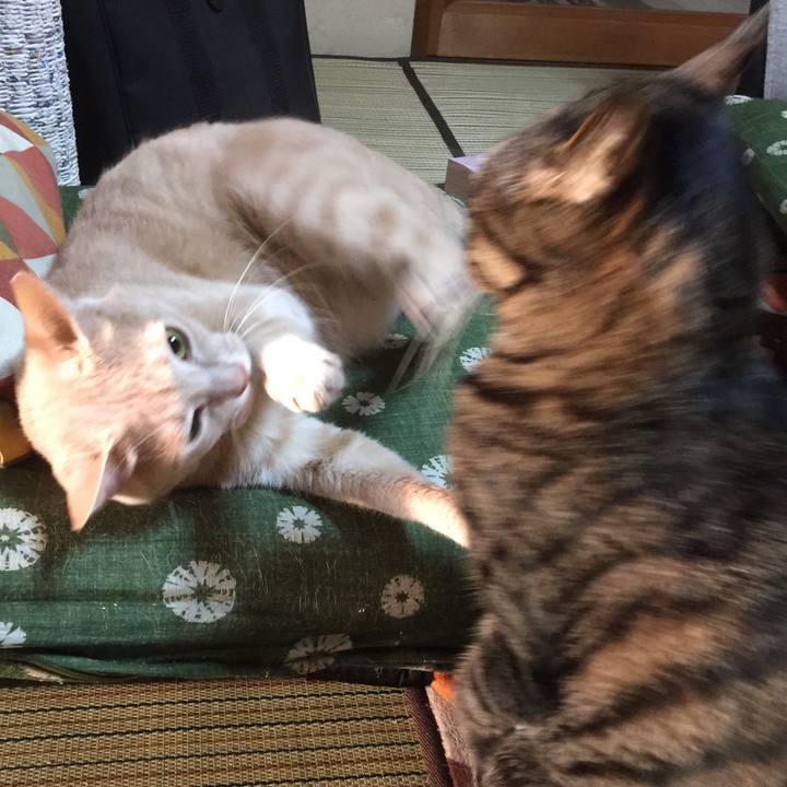 978d9424 7d84 4221 bcb5 baadd812fcac