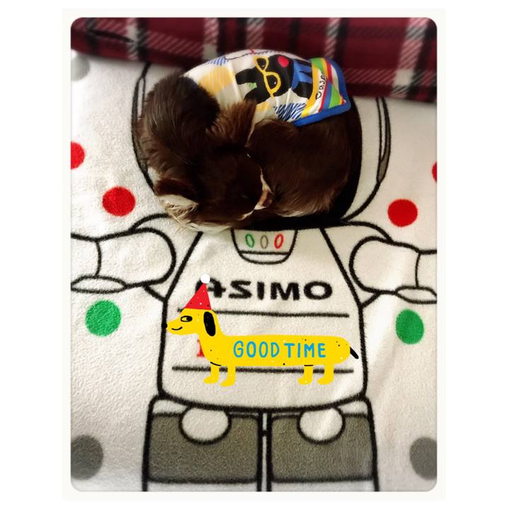 978dcce0 d65d 4bdd 987c 7a13beab38f1