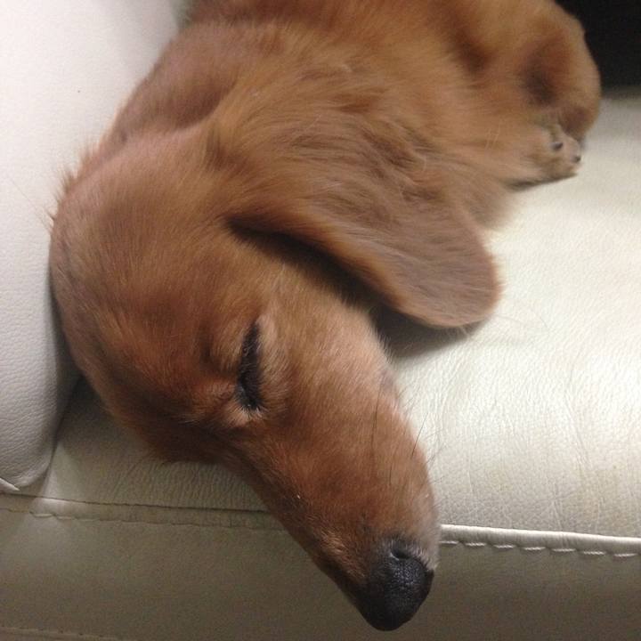 978e9cc1 eef4 4425 8eff 17ffd683ec87