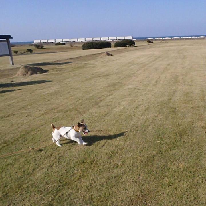 978eb6ca 4d7a 4eb1 a7e9 ef8c43670388