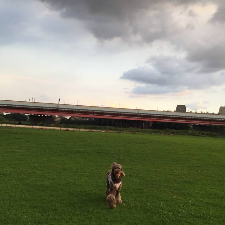 978f9332 c7d1 4954 848f 8feecb96efb0