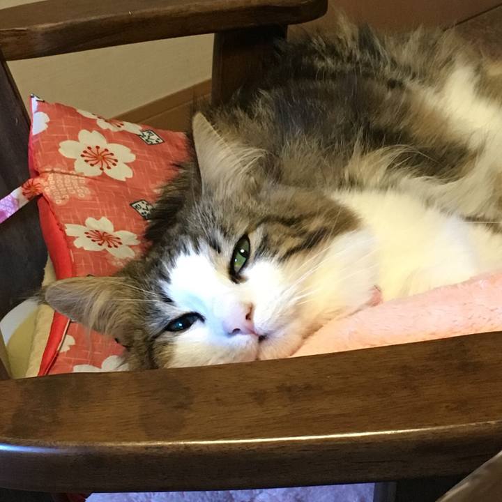 978ff07b 1227 4e46 bb4c af6dcb8aac08