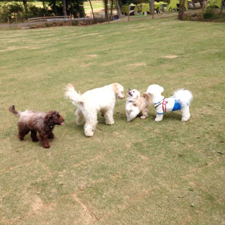 97901ce3 f401 43a3 99d7 ea9d8bf05550