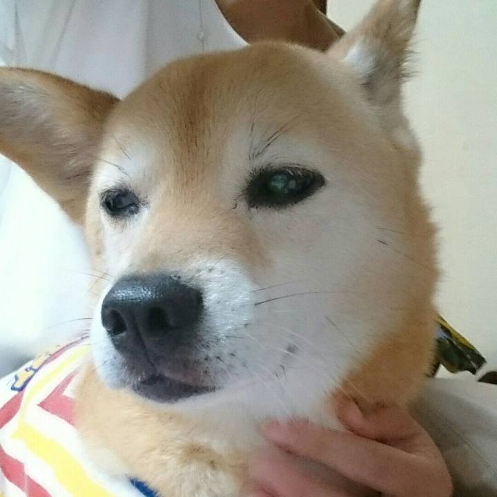 979055d2 25a8 4d51 8cde 3efaf91405c7