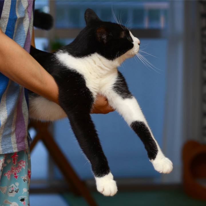 97907dc7 7ef4 453b a27c 5293b897a1f3