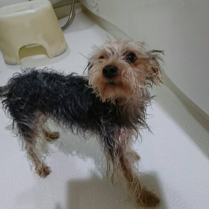 9790db12 a23b 431f 9a3f 96d1a417ec4c